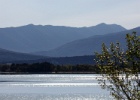 C.Martijn